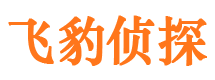 临河外遇调查取证